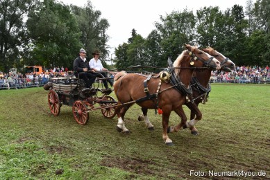 JURA-Volksfest-Pferdeshow-190819-0348