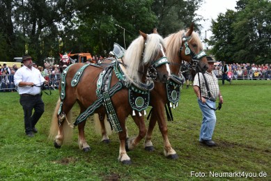 JURA-Volksfest-Pferdeshow-190819-0140