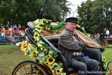 JURA-Volksfest-Pferdeshow-190819-0358