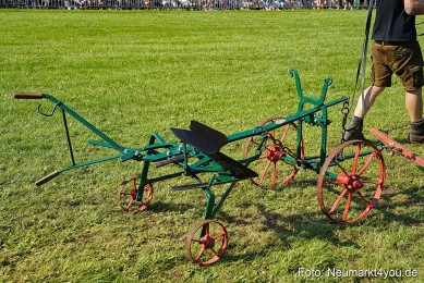 Pferde-und-Fohlenschau-JURA-Volksfest-2023-0085