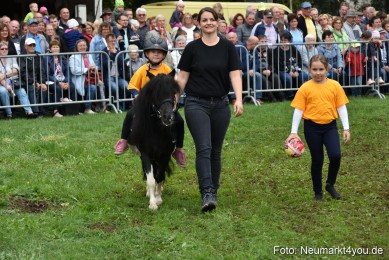 JURA-Volksfest-Pferdeshow-190819-0193