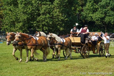 Pferde-und-Fohlenschau-JURA-Volksfest-2023-0099