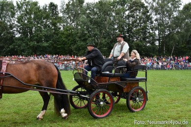 JURA-Volksfest-Pferdeshow-190819-0045
