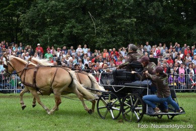 JURA-Volksfest-Pferdeshow-190819-0220