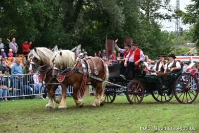 JURA-Volksfest-Pferdeshow-190819-0334