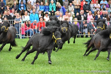 JURA-Volksfest-Pferdeshow-190819-0015