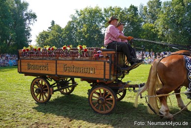 Pferde-und-Fohlenschau-JURA-Volksfest-2023-0204