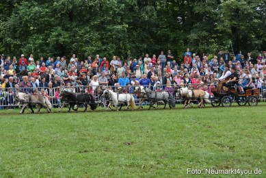 JURA-Volksfest-Pferdeshow-190819-0302