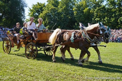 Pferde-und-Fohlenschau-2025-0095