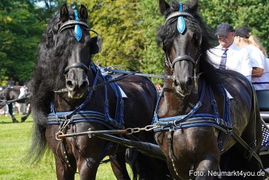 Pferde-und-Fohlenschau-JURA-Volksfest-2023-0146