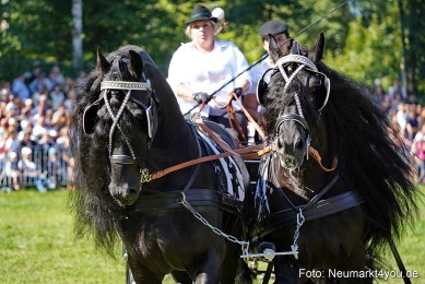 Pferde-und-Fohlenschau-2025-0147