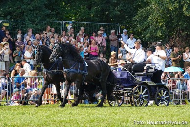 Pferde-und-Fohlenschau-JURA-Volksfest-2023-0151