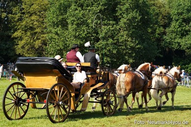 Pferde-und-Fohlenschau-JURA-Volksfest-2023-0098