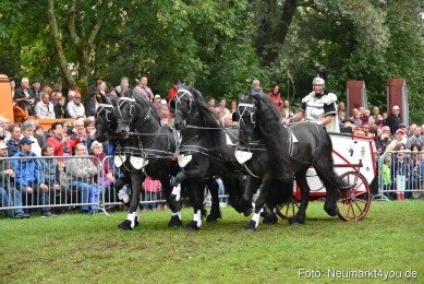 JURA-Volksfest-Pferdeshow-190819-0149