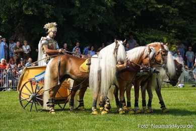 Pferde-und-Fohlenschau-JURA-Volksfest-2023-0161