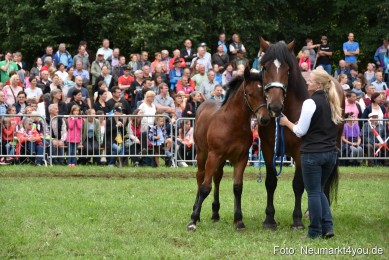 JURA-Volksfest-Pferdeshow-190819-0283