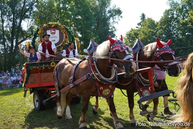 Pferde-und-Fohlenschau-JURA-Volksfest-2023-0210
