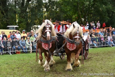JURA-Volksfest-Pferdeshow-190819-0325