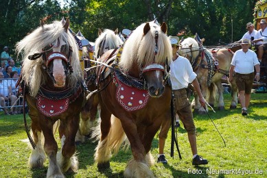 Pferde-und-Fohlenschau-JURA-Volksfest-2023-0205