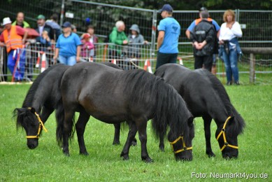 JURA-Volksfest-Pferdeshow-190819-0022