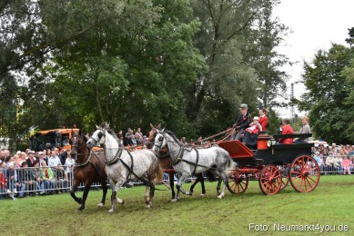 JURA-Volksfest-Pferdeshow-190819-0207