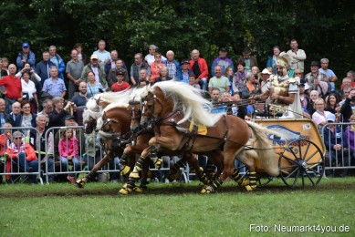 JURA-Volksfest-Pferdeshow-190819-0371