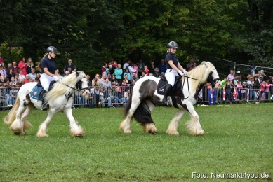 JURA-Volksfest-Pferdeshow-190819-0240