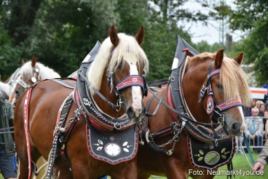 JURA-Volksfest-Pferdeshow-190819-0118
