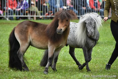 JURA-Volksfest-Pferdeshow-190819-0107