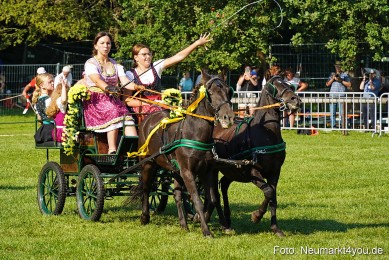 Pferde-und-Fohlenschau-JURA-Volksfest-2023-0032