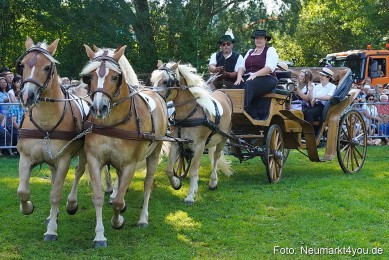 Pferde-und-Fohlenschau-JURA-Volksfest-2023-0091