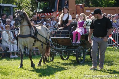 Pferde-und-Fohlenschau-2025-0108