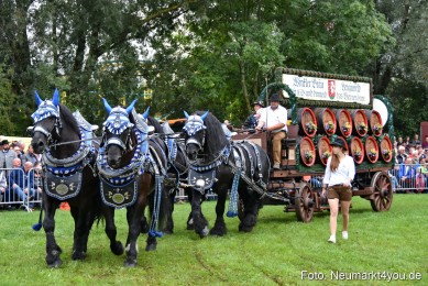 JURA-Volksfest-Pferdeshow-190819-0066