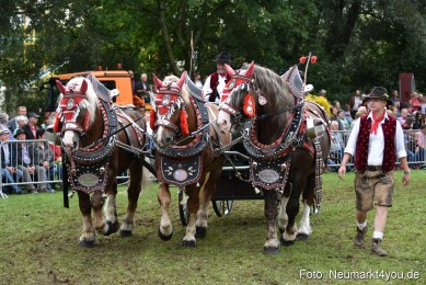 JURA-Volksfest-Pferdeshow-190819-0342