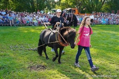 Pferde-und-Fohlenschau-JURA-Volksfest-2023-0079