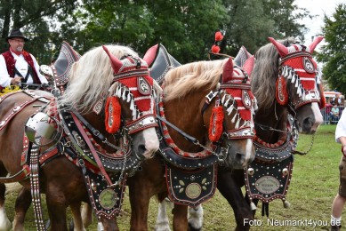 JURA-Volksfest-Pferdeshow-190819-0354
