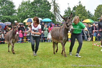 Eselrennen-Fruehlingsfest-2022-0049