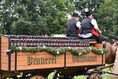 JURA-Volksfest-Pferdeshow-190819-0065