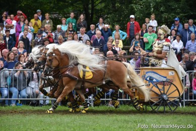 JURA-Volksfest-Pferdeshow-190819-0378