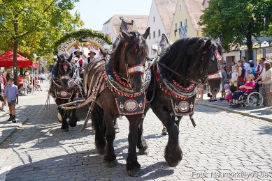 JURA-Volksfestzug-2025-0207