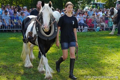 Pferde-und-Fohlenschau-JURA-Volksfest-2023-0102