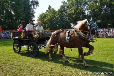 Pferde-und-Fohlenschau-JURA-Volksfest-2023-0135
