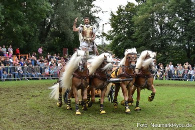 JURA-Volksfest-Pferdeshow-190819-0389