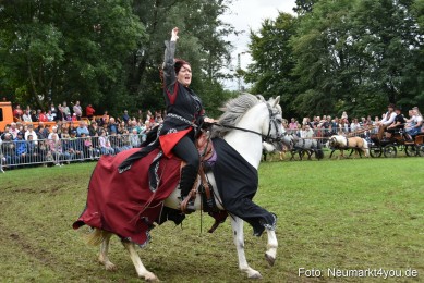 JURA-Volksfest-Pferdeshow-190819-0313
