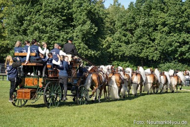 Pferde-und-Fohlenschau-2025-0018