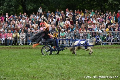 JURA-Volksfest-Pferdeshow-190819-0293