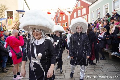 Chinesenfasching-Dietfurt-2023-0111