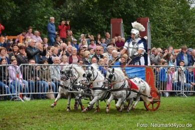 JURA-Volksfest-Pferdeshow-190819-0152