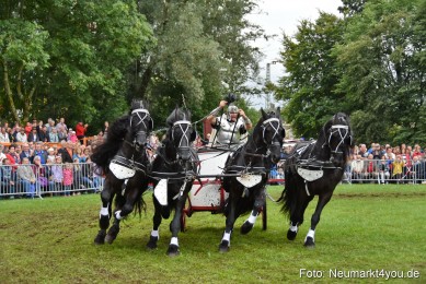 JURA-Volksfest-Pferdeshow-190819-0184