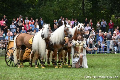 JURA-Volksfest-Pferdeshow-190819-0384